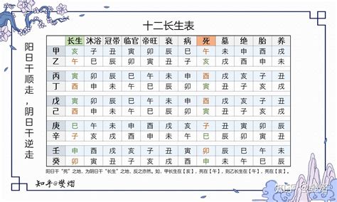 長生十二神|八字十二長生解讀——長生